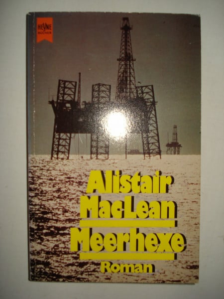 Meerhexe (Heyne Allgemeine Reihe (01))
