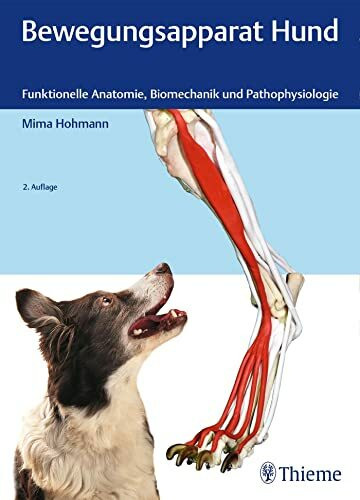 Bewegungsapparat Hund: Funktionelle Anatomie, Biomechanik und Pathophysiologie