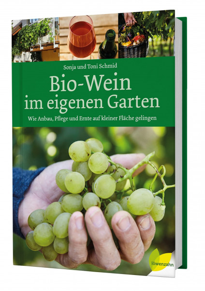 Bio-Wein im eigenen Garten: Wie Anbau, Pflege und Ernte auf kleiner Fläche gelingen