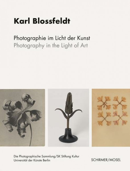 Photographie im Licht der Kunst / Photography in the Light of Art: Der Gesamtbestand Karl Blossfeldt aus dem Archiv der Universität der Künste Berlin