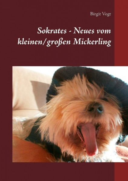 Sokrates - Neues vom kleinen/großen Mickerling