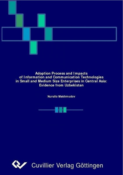 Adoption Process and Impacts of Information and Communication Technologies in Small and Medium Size