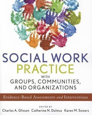 Social Work Practice with Groups, Communities, and Organizations