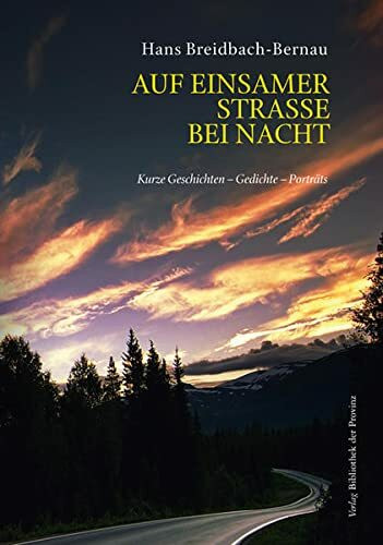 Auf einsamer Straße bei Nacht: Kurze Geschichten - Gedichte - Porträts