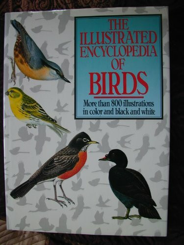 Illustrated Encyclopedia of Birds/No 1687110