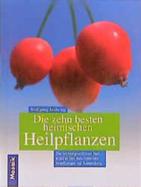 Die 10 besten heimischen Heilpflanzen: Die wirkungsvollsten Heilkräuter bei Beschwerden. Anleitungen zur Anwendung
