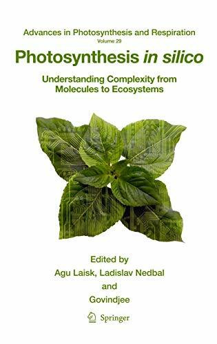 Photosynthesis in silico: Understanding Complexity from Molecules to Ecosystems (Advances in Photosynthesis and Respiration, 29, Band 29)