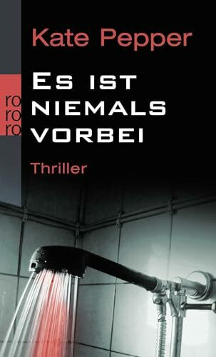 Es ist niemals vorbei (Karin Schaeffer ermittelt, Band 2)