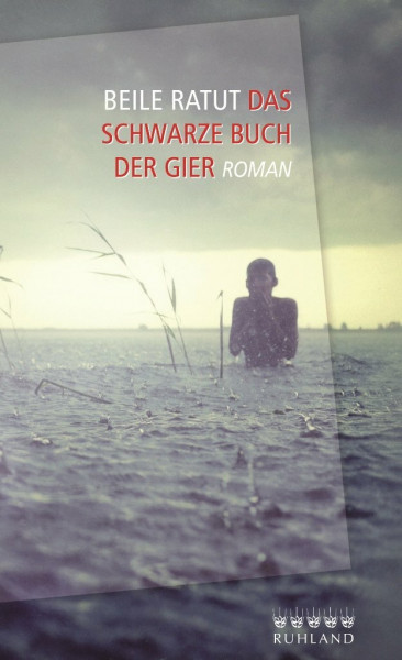 Das schwarze Buch der Gier: Roman
