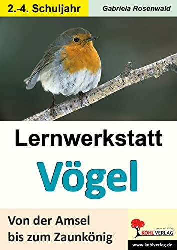 Lernwerkstatt Vögel (GS): Von der Amsel bis zum Zaunkönig: Ein Leben aus der Vogelperspektive