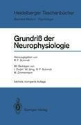 Grundriß der Neurophysiologie