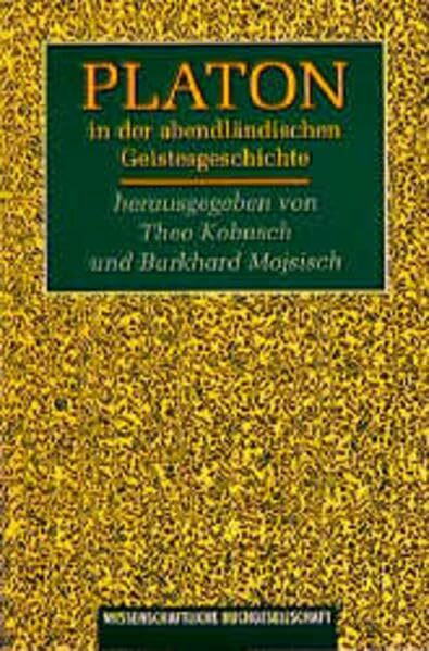 Platon in der abendländischen Geistesgeschichte: Neue Forschungen zum Platonismus