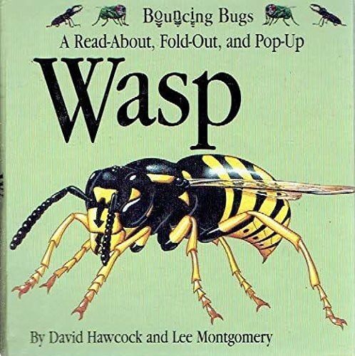 Wasp: A Read-About, Fold-Out, and Pop-Up (Bouncing Bugs)