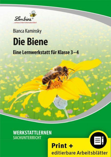 Die Biene. Grundschule, Sachunterricht, Klasse 3-4