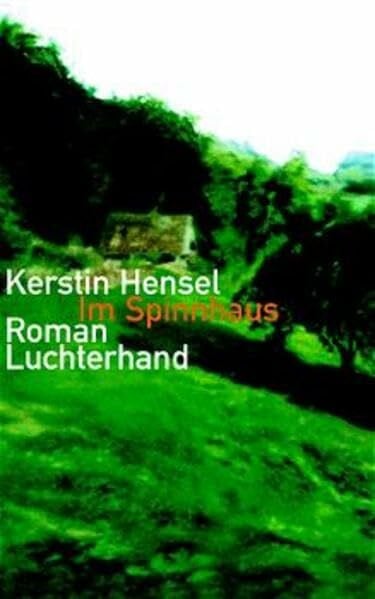 Im Spinnhaus: Roman