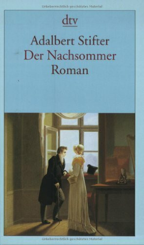 Der Nachsommer: Roman (dtv Fortsetzungsnummer 12)