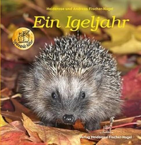 Ein Igeljahr