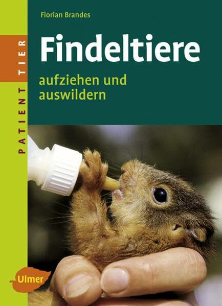 Findeltiere: Aufziehen und auswildern (Patient Tier)