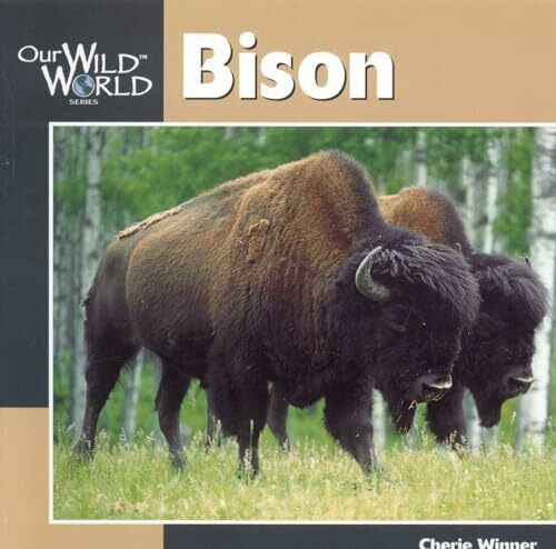 Bison (Our Wild World)