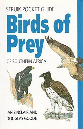 Birds of Prey of Southern Africa (Struik pocket guides)