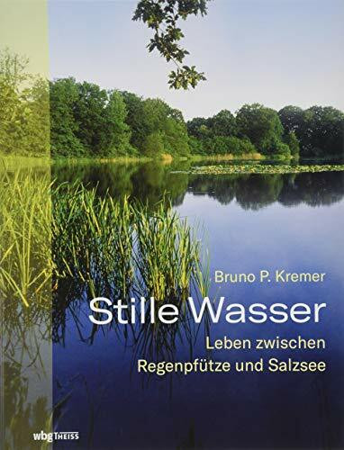 Stille Wasser: Leben zwischen Regenpfütze und Salzsee