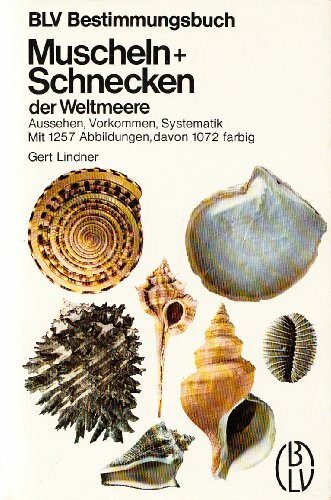 Muscheln + Schnecken der Weltmeere: Aussehen, Vorkommen, Systematik