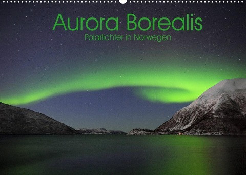 Aurora Borealis: Polarlichter in Norwegen (Wandkalender 2022 DIN A2 quer)