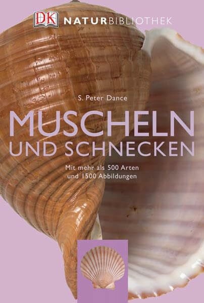 Muscheln und Schnecken: Mit mehr als 500 Arten