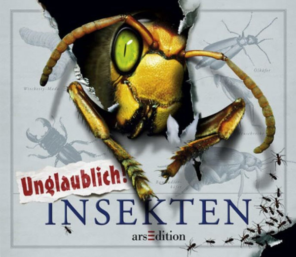 Insekten: Unglaublich!