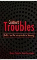 Culture Troubles: Politics and the Interpretation of Meaning (Culture and Politics Series)