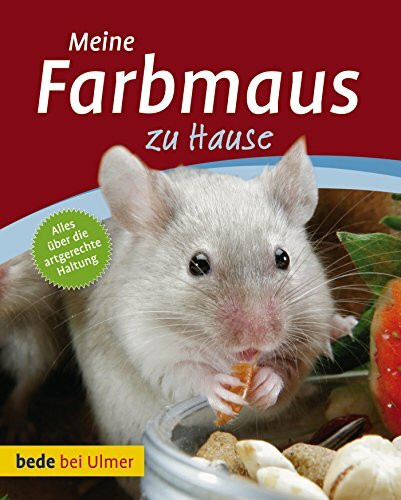 Meine Farbmaus zu Hause: Alles über die artgerechte Haltung
