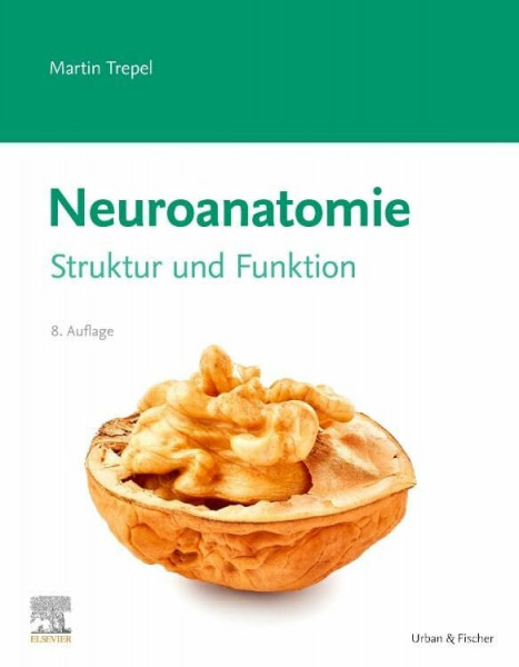 Neuroanatomie: Struktur und Funktion