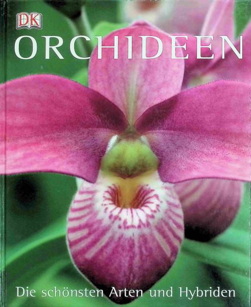 Orchideen: Die schönsten Arten und Hybriden