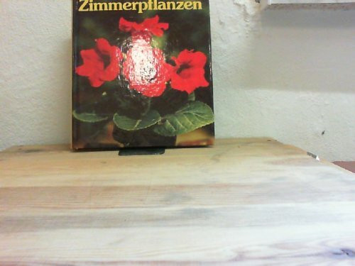 Zimmerpflanzen.
