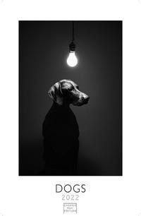 Dogs 2022 - Format L