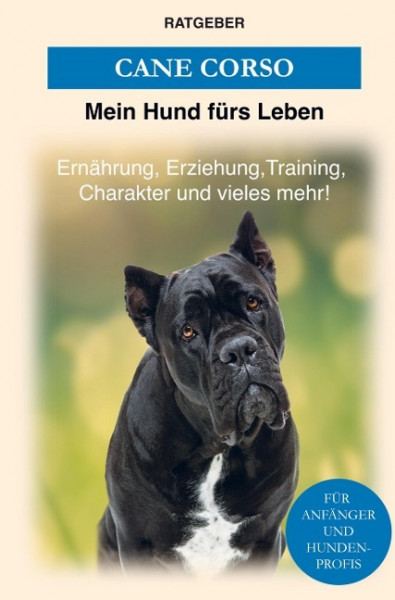 Cane Corso