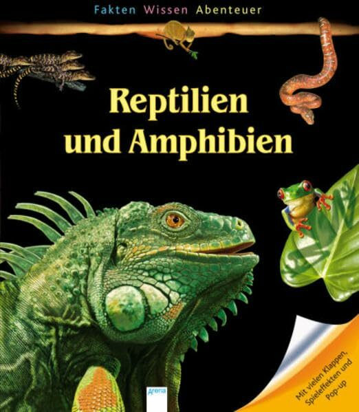 Reptilien und Amphibien (Fakten, Wissen, Abenteuer - Sachbücher ab 8)