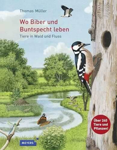 Wo Biber und Buntspecht leben: Tiere in Wald und Fluss