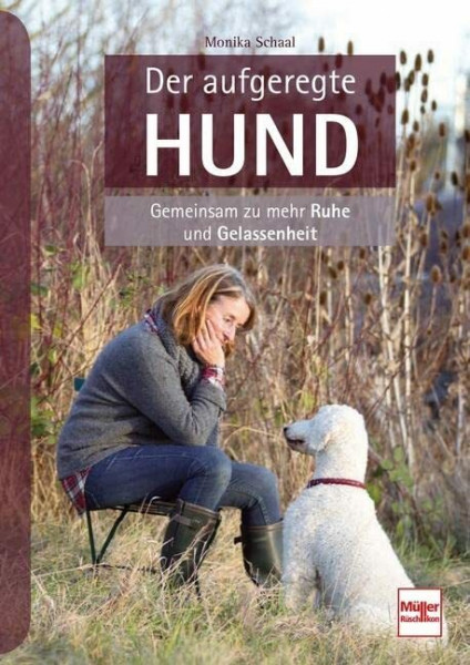 Der aufgeregte Hund: Gemeinsam zu mehr Ruhe und Gelassenheit