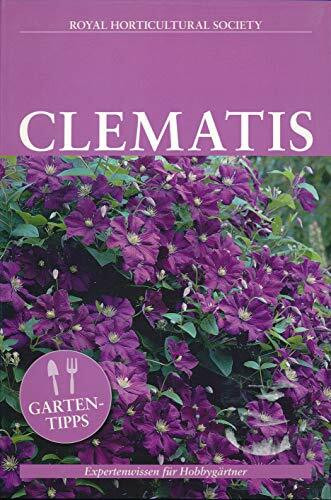 Expertenwissen für Hobbygärtner: Clematis