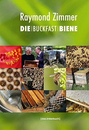 Die Buckfastbiene