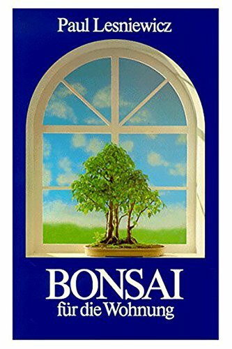 Bonsai für die Wohnung