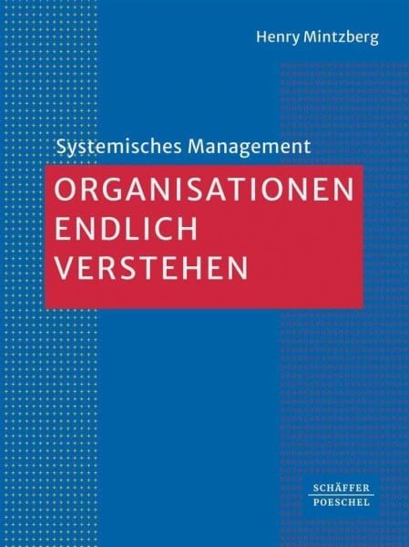 Organisationen endlich verstehen (Systemisches Management)