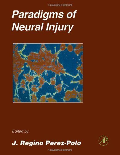 Paradigms of Neural Injury (Volume 30) (Methods in Neurosciences, Volume 30, Band 30)