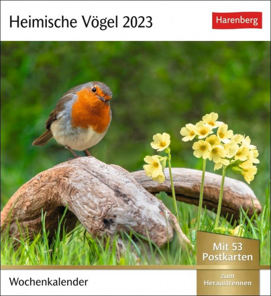 Heimische Vögel Postkartenkalender 2023