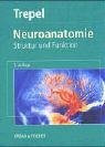 Neuroanatomie