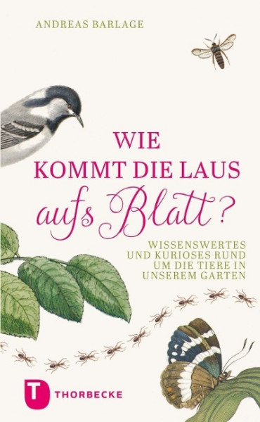 Wie kommt die Laus aufs Blatt?