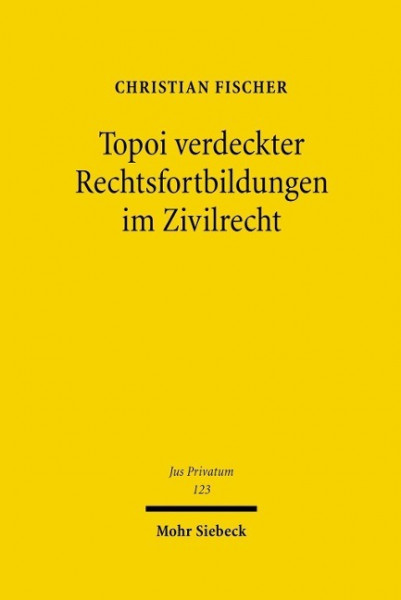 Topoi verdeckter Rechtsfortbildungen im Zivilrecht