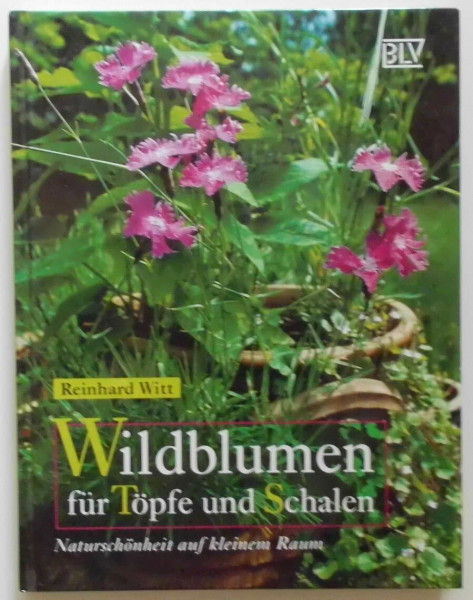 Wildblumen für Töpfe und Schalen
