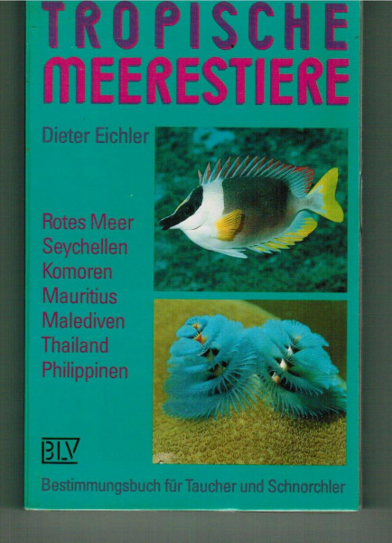 Tropische Meerestiere